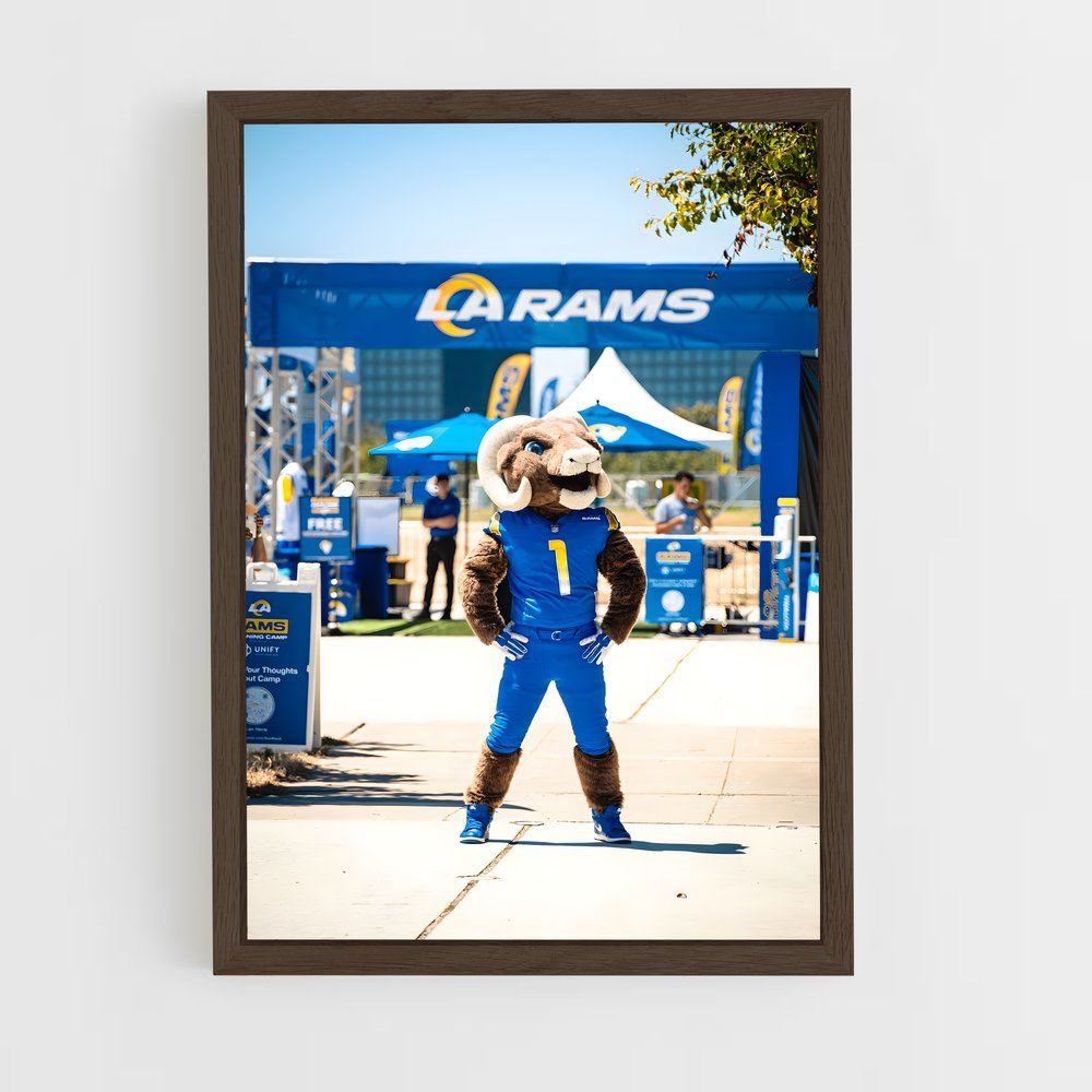 Poster Bear Down LA (vue 5)